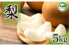 【令和7年分 先行予約】 梨 約 5kg ※9月以降順次発送 福島県 大玉村 産 ナシ なし フルーツ｜ om-ns05-R7