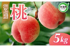 桃 福島 5kg （16～20玉入）M～Lサイズ 大玉村 産 《 令和8年 先行予約 》※ 2026年 7月上旬以降順次発送 ｜ 大玉 福島 もも モモ 旬 果物 朝どれ もぎたて 新鮮 フルーツ 果実 くだもの｜ om-mm05-R8