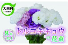 【新型コロナ被害支援】 トルコキキョウ花束（夏）コロナウィルス支援【12002】