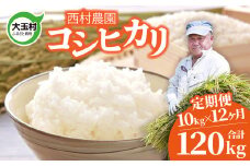 新米 予約 定期便 米 コシヒカリ 120kg ( 10kg × 12 ヶ月 )《 令和7年 》 福島県 大玉村 西村農園  ｜ こしひかり 精米 定期 12回 コメ ｜ nm-kh10-t12-R7