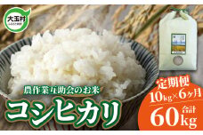 米 定期便 コシヒカリ 60kg ( 10kg × 6ヶ月 ) 福島県 大玉村 農作業互助会  ｜ 白米 こめ ごはん こしひかり 精米 定期 6回 コメ ｜ gj-kh10-t6-R6