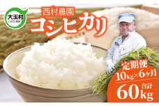 米 定期便 コシヒカリ 60kg ( 10kg × 6ヶ月 ) 《 令和6年 》 福島県 大玉村 西村農園  ｜ こしひかり 精米 定期 6回 コメ ｜ nm-kh10-t6-R6