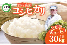 新米 定期便 米 コシヒカリ 30kg ( 10kg × 3 ヶ月 )《 令和7年 》 福島県 大玉村 西村農園  ｜ こしひかり 精米 定期 3回 コメ ｜ nm-kh10-t3-R7