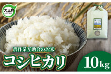 米 10kg コシヒカリ 令和6年  ｜ 福島県 大玉村 農作業互助会 白米 こめ コメ ごはん 米作り 精米 令和6年産 2024年産 ｜ gj-kh10-R6