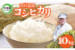 【令和6年産】【西村農園のお米】 コシヒカリ　１０ｋｇ