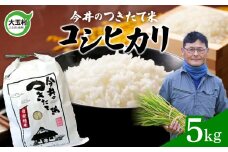 【 令和6年産  】【 今井のつきたて米 】 コシヒカリ ５ｋｇ【OT08-002-R6】 こしひかり 福島県 大玉村 精米 今井農園