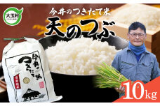 【 令和6年産  】 【 今井のつきたて米 】 天のつぶ １０ｋｇ 福島県 大玉村 てんのつぶ テンノツブ 米 今井農園 ｜ OT08-021-R6