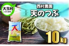 米 10kg 令和6年 天のつぶ  特別栽培米 西村農園 ｜ 福島県 大玉村 お米 令和6年産 2024年産 コメ 精米 白米 テンノツブ ｜nm-tt10-R6