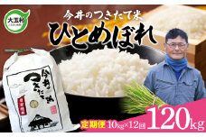 【 令和6年産  】【 今井のつきたて米 】大玉村 米 定期便 120kg ひとめぼれ （毎月 10kg × 12回 ）  【OT08-018-R6】 今井農園 福島県 米作り 令和6年 お米 