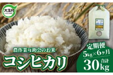 米 定期便 コシヒカリ 30kg ( 5kg × 6ヶ月 )  福島県 大玉村 農作業互助会 ｜  白米 こめ ごはん こしひかり 精米 定期 6回 コメ ｜ gj-kh05-t6-R6