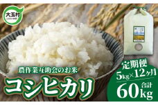 米 定期便 コシヒカリ 60kg ( 5kg × 12ヶ月 ) 福島県 大玉村 農作業互助会  ｜ 白米 ごはん こめ こしひかり 精米 定期 12回 コメ ｜ gj-kh05-t12-R6
