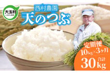 米 定期便 天のつぶ 30kg ( 10kg × 3ヶ月 ) 《 令和6年 》 福島県 大玉村 西村農園  ｜ てんのつぶ テンノツブ 精米 定期 3回 コメ ｜ nm-tt10-t3-R6