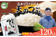 【 令和6年産  】 【 今井のつきたて米 】 天のつぶ 120ｋｇ（毎月１０ｋｇ×12回）【OT08-027-R6】 福島県 大玉村 てんのつぶ テンノツブ 米 定期便 今井農園