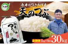 【 令和6年産  】 【 今井のつきたて米 】 天のつぶ 30ｋｇ （ 毎月 ５ｋｇ × 6回 ）【OT08-023-R6】 福島県 大玉村 てんのつぶ テンノツブ 米 定期便 今井農園