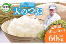 米 定期便 天のつぶ 60kg ( 10kg × 6ヶ月 ) 《 令和6年 》 福島県 大玉村 西村農園  ｜ てんのつぶ テンノツブ 精米 定期 6回 コメ ｜ nm-tt10-t6-R6