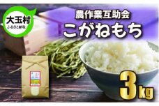 米 もち米 3kg こがねもち 【 令和6年産 】【 農業生産法人 農作業互助会のお米 】   餅米  餅こめ  餅 もち モチ おこわ 餅つき お餅 炊き込みご飯  ｜ gj-km03-R6