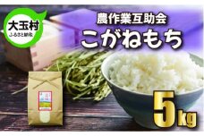 米 もち米 5kg こがねもち 【 令和6年産 】【 農業生産法人 農作業互助会のお米 】 餅米 餅こめ 餅 もち モチ おこわ 餅つき お餅 炊き込みご飯 ｜ gj-km05-R6