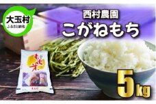 もち米 こがねもち 5kg 《 令和6年 》 西村農園 ｜ 餅米 餅こめ 米 餅 もち モチ おこわ 炊き込みご飯 福島県 大玉村 ｜nm-km05-R6