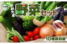 大玉村 の 農家 直送 旬 の 野菜 新鮮 野菜セット （10種類前後） お試し 詰め合わせ 《寄附額 5000円 》 福島県 大玉村 産地直送 季節の詰め合わせ おまかせ 国産 野菜 旬 野菜セット 詰合せ ダイエット 健康 志向 冷蔵 配送 野菜 不足 解消 初心者 にも おすすめ ｜ SDGs セット おためし 詰合せ 人気 ｜01104