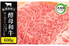 《寄附額改定》 あだたら酵母和牛 サーロイン 600g（ すき焼き ・ しゃぶしゃぶ 用）【 黒毛和牛 ／ 国産 】 牛肉 焼肉 鉄板焼 福島県 大玉村 【 02114 】
