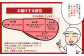 お届けする部位