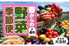 【定期便】季節の野菜 2022年春からの定期便【01051】