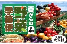 【定期便】季節の野菜 2022年夏からの定期便【01052】