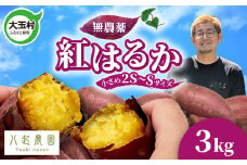 さつまいも 紅はるか 3kg 無農薬 2S～Sサイズ混合 | 福島県 大玉村 国産 さつまいも紅はるか 土付き 規格外 芋 スイートポテト サツマイモ |yn-sm-b-3kg-r6