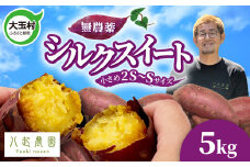 さつまいも シルクスイート 5kg 無農薬 2S～Sサイズ混合 ｜ 国産 福島県 大玉村 土付き 規格外 サツマイモ スイートポテト 芋 |yn-sm-s-5kg-r6