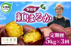 さつまいも 無農薬 紅はるか 【 定期便 】 5㎏ ×3ヶ月 2S～Sサイズ混合 |yn-sm-b-5kg-t3-r6 | さつまいも紅はるか 土付き  芋 サツマイモ 国産 福島県 大玉村