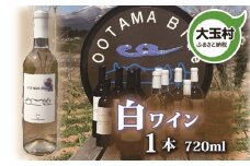 【数量限定】ワイン　白 甲州種　720ml 1本（ootama blue）【20002】