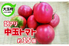 訳あり 野菜 不揃い トマト 中玉(5cm～8cm) 約15個 《数量限定》 新鮮 夏野菜 大玉村 もったいない野菜 【01091】 とまと SDGs 余剰野菜 フードロス 食品ロス