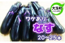 訳あり 野菜 不揃い ナス 20本～25本 《数量限定》 新鮮 夏野菜 大玉村 もったいない野菜 【01092】 なす 茄子 SDGs 余剰野菜 フードロス 食品ロス