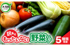 【 訳あり 】 野菜セット (5種類程度) 4000円 ｜ フードロス 余剰野菜 使い切りサイズ 少量セット 一人暮らし 食べ切り 食べ切り野菜 地元農家応援 不揃い 規格外 5000円 5000円以下 SDGs ｜送料無料 福島県 大玉村 01105