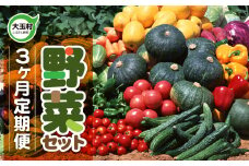 《先行予約・ 定期便 》 野菜セット 3ヶ月 (全3回)｜旬の野菜10品目前後お届け 2025年6月以降順次発送｜トマト 大根 小松菜 ねぎ にんじん ピーマン きゅうり ナス 他｜新鮮 野菜詰め合わせ 無農薬 直送 定期 野菜便 福島県 大玉村 01107