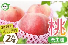 もも 先行予約 桃 福島 大玉村 約 2kg 約6玉 2026年産 8月中旬～9月下旬発送 ｜ 令和8年産 農家直送 もぎたて 朝獲れ 菊地果樹園 福島県 大玉 産 川中島白桃 さくら ゆうぞら 晩生種 モモ 旬 フルーツ 果物 ジャム ｜ kk-mm02-R8