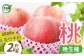【先行予約】2026年産 桃 約2kg（約6玉）晩生種（川中島白桃・さくら・ゆうぞら）8月上旬～9月下旬発送
