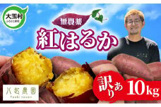 訳あり さつまいも 紅はるか 10kg 無農薬 | 規格外 不揃い サイズ混合 国産さつまいも紅はるか わけあり 土付き 芋 スイートポテト サツマイモ  福島県 大玉村 | yn-sm-wa-b-10kg-r6
