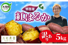 訳あり さつまいも 紅はるか 5kg 無農薬 規格外 不揃い サイズ混合 | さつまいも紅はるか 土付き サツマイモ スイートポテト おやつ 芋 さつま芋 福島県 大玉村 八起農園 ｜yn-sm-wa-b-5kg-r6