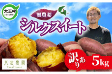 訳あり さつまいも シルクスイート 5kg 無農薬 ｜ 規格外 不揃い サイズ混合 土付き わけあり サツマイモ スイートポテト 芋 さつま芋 福島県 大玉村  | yn-sm-wa-s-5kg-r6