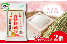 【令和6年産】 合格祈願米 コシヒカリ 真空米 2合 ( 300g )×2個 受験 御利益 合格 ご祈祷 願掛け【as-skgk02-R6】