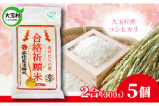 【令和6年産】 合格祈願米 コシヒカリ 真空米 2合 ( 300g )× 5個 受験 御利益 合格 ご祈祷 願掛け【as-skgk05-R6】 