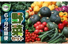《先行予約・ 定期便 》 野菜セット 6ヶ月 (全6回)｜旬の野菜10品目前後お届け 2025年6月以降順次発送｜トマト 大根 小松菜 ねぎ にんじん ピーマン きゅうり ナス 他｜新鮮 野菜詰め合わせ 無農薬 直送 定期 野菜便 福島県 大玉村 01108