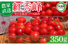 さくらんぼ 紅秀峰 350g 2025 年産 先行予約 バラ詰め サイズ混合（M/L/LL） ｜ 朝採れ もぎたて 農家直送 産地直送 果物 フルーツ 旬 新鮮 お取り寄せ ギフト 贈り物 サクランボ 令和7年分 福島県 大玉村 菊地果樹園 ｜ OT20-001-R7
