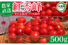 さくらんぼ 紅秀峰 500g  2026 年産 先行予約 バラ詰め サイズ混合（M/L/LL） ｜ 朝採れ もぎたて 農家直送 産地直送 果物 フルーツ 旬 新鮮 お取り寄せ ギフト 贈り物 サクランボ 令和8年分 福島県 大玉村 菊地果樹園 ｜ OT20-001-R8
