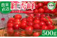 さくらんぼ 紅秀峰 500g 令和7年分 先行予約 バラ詰め サイズ混合（M/L/LL）