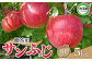 りんご  5kg 令和6年産 先行予約 贈答 サンふじ 特L