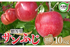 りんご  10kg 令和6年産 先行予約 贈答 サンふじ 特L サイズ ※12月以降順次発送 ｜ 福島県 大玉村 贈答用 ギフト お歳暮 贈り物   林檎 リンゴ 無袋ふじ 旬 果物 フルーツ ｜ ou-sfgftl10-R6