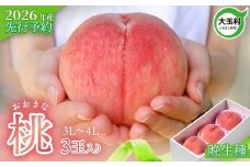 もも 先行予約 桃 福島 大玉村 大きいサイズ ( 3L 〜 4L ) 3玉 (約1kg) 2026年産 8月中旬～9月下旬発送 ｜ 令和8年産 農家直送 もぎたて 朝獲れ 菊地果樹園 福島県 大玉 産 川中島白桃 さくら ゆうぞら 晩生種 旬 フルーツ 果物 ジャム モモ ギフト 贈答 ｜ kk-mm01-R8