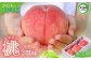 【2026年産先行予約】 桃 福島 大玉村 3L〜4L 3玉 (約1kg) 